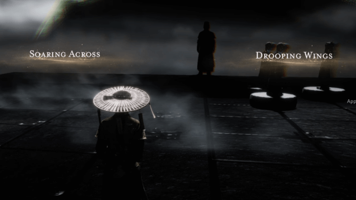 WWM - Soaring Across or Drooping Wings