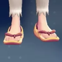 Ivor coordinated geta (different color)