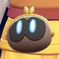 Ivor Coordinated Purse Pouch (different colors)