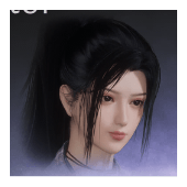 Dragon Protector Hairstyle F