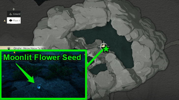 WWM Moonlit Flower Seed Location.png