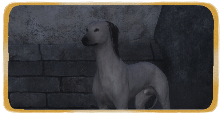 WWM - The Missing Dog