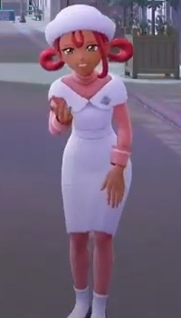 Pokemon Center Nurse Trainer