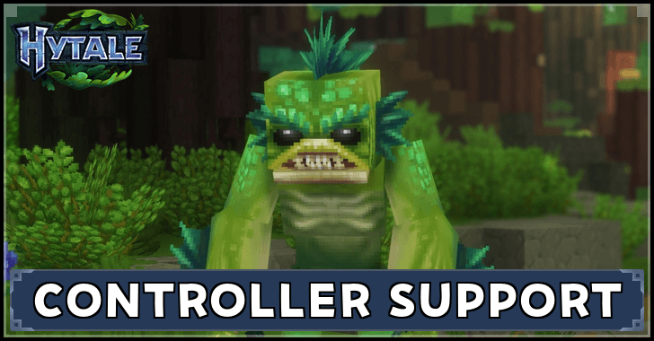 Is There Controller Support