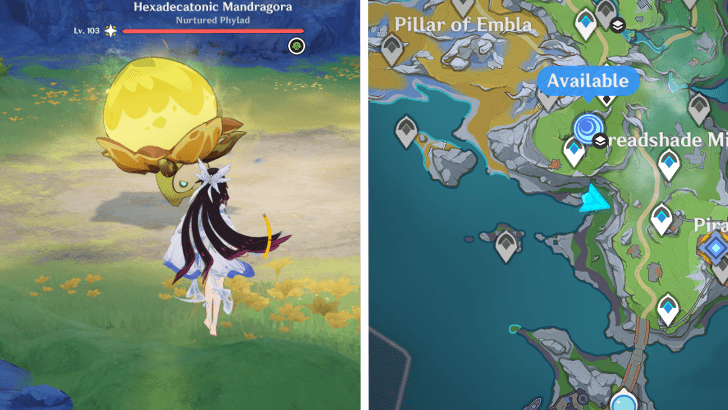 Genshin - Hexadecatonix Mandragora