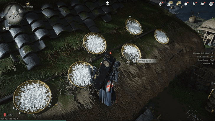 Flying Petals Onto the Rooftop