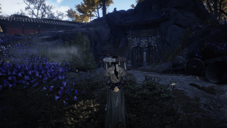 Vanishing Steps in Snow