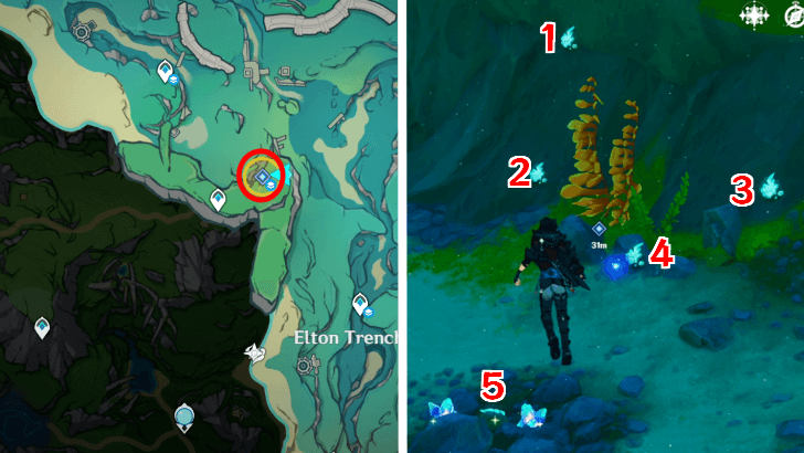 Genshin Impact A Gift From the Sea Spirits Quest Shiny Beryl Conches