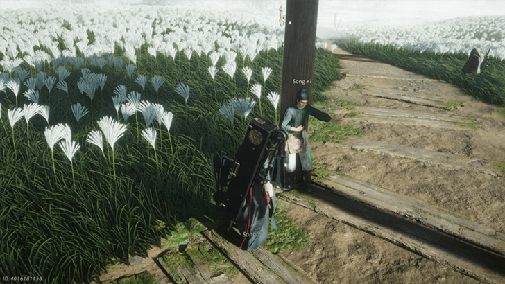 Guests from All Around