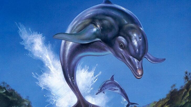 Ecco the Dolphin Cover Art