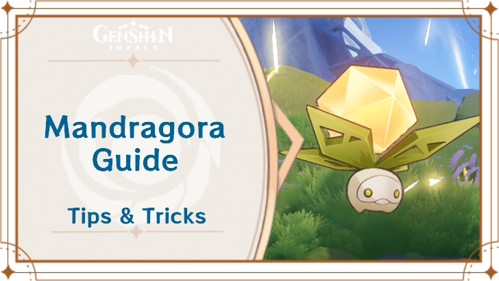 Genshin Impact - Mandragora Guide