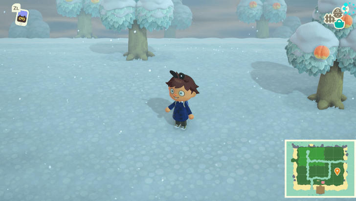 Cannot Change Seasons