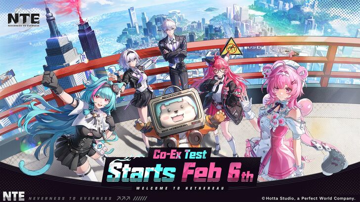 NTE Co-Ex Test Visual