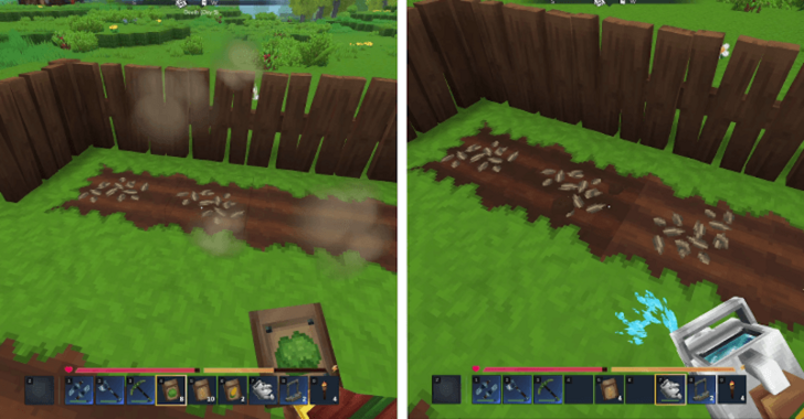 Plant and Water Seeds