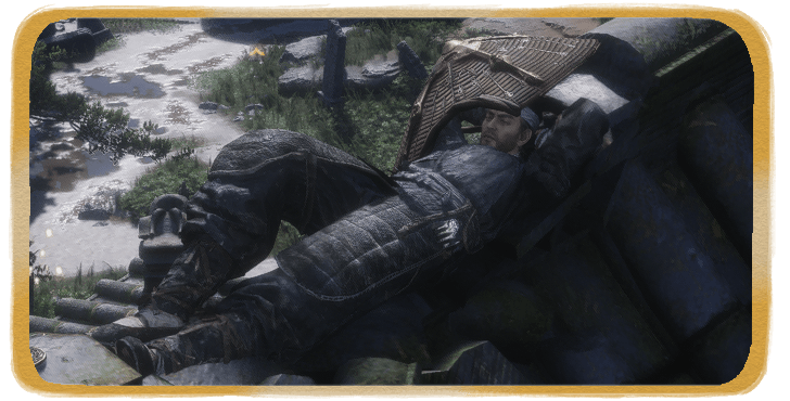 WWM - The Silent Assassin