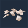 White Petals Icon