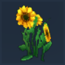 Sunflower Icon