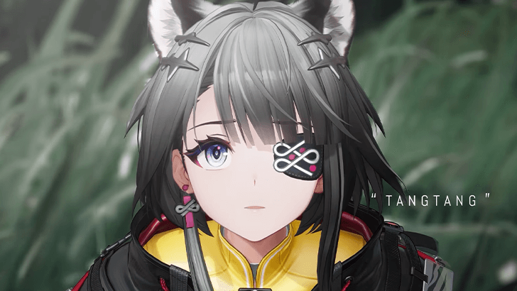 Tangtang in the Story