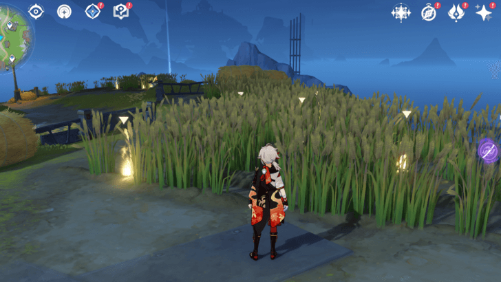 Genshin Impact - There Will Be Bread - First Field Location