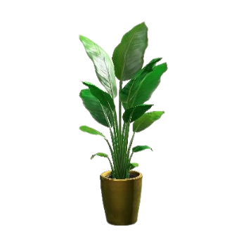 Bird-of-Paradise - Gold