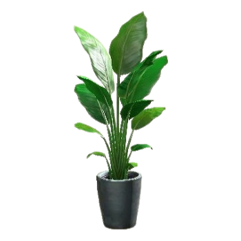 Bird-of-Paradise - Silver