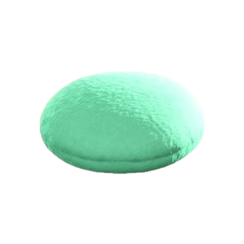 Circle Cushion - Green
