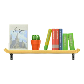 Wall-Mounted Bookshelf - Travel Book