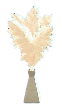 Pampas Grass - Beige