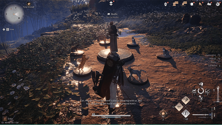 The Master Cat Petter