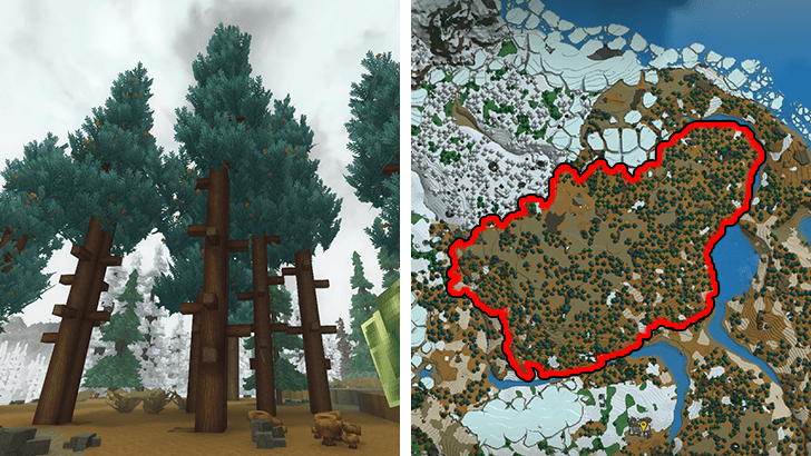 Cedar Tree in Tundras