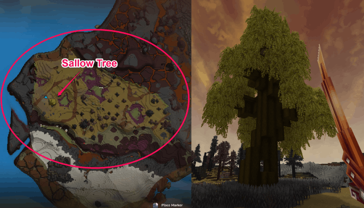 Sallow Tree location