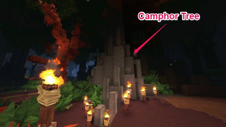 Camphor Log Location