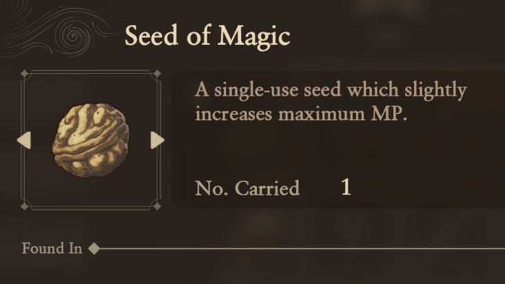 Seed of Magic