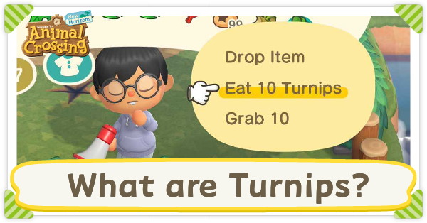 Animal Crossing New Horizons (ACNH) - What are Turnips