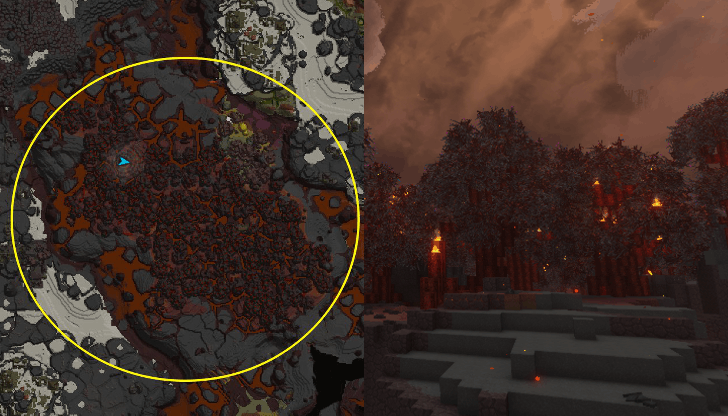 Fire Trees Location