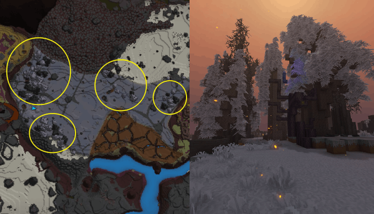 Petrified Log Location