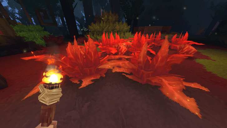 Bushy Orange Fern Location