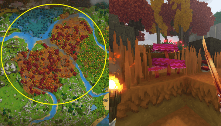 Bloodcap Mushroom The Fens