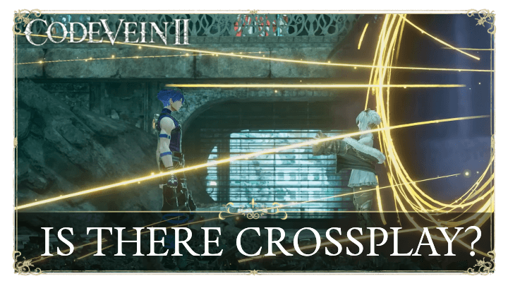 Code Vein 2 - Is there Crossplay.png