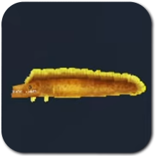 Moray Eel Icon