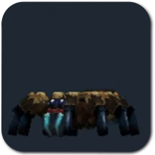 Spider Icon