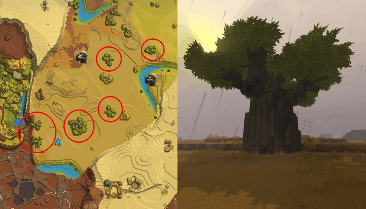 Gumboab Tree Location