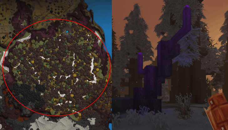 Poisoned Logs Location