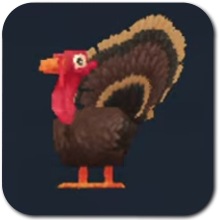 Turkey Icon