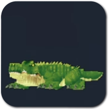 Crocodile Icon