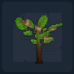 Apple Sapling Icon