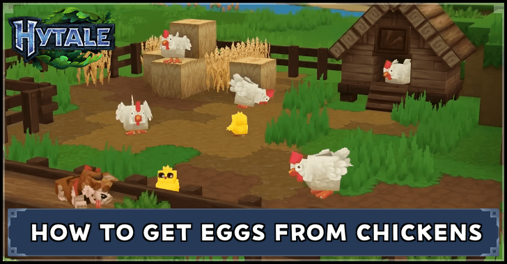Hytale - How to Get Eggs From Chickens
