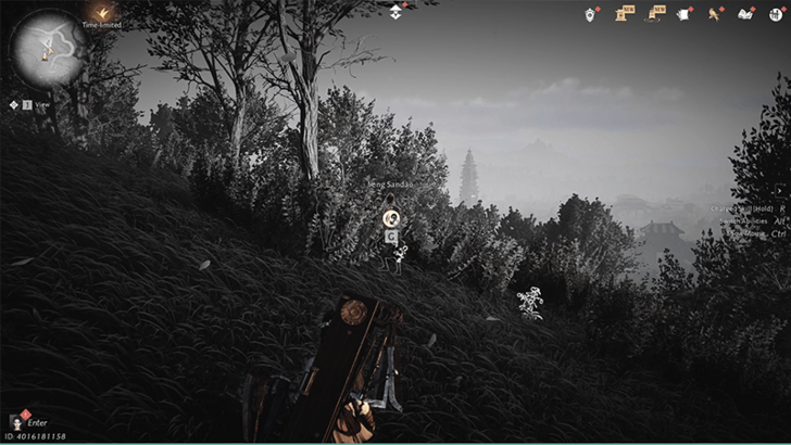 Crackdown on Mercernaries