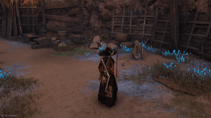 Central Mistveil Forest