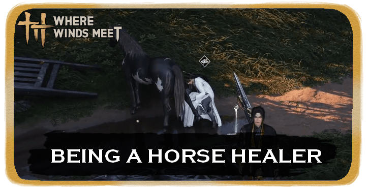 Being a Horse Healer